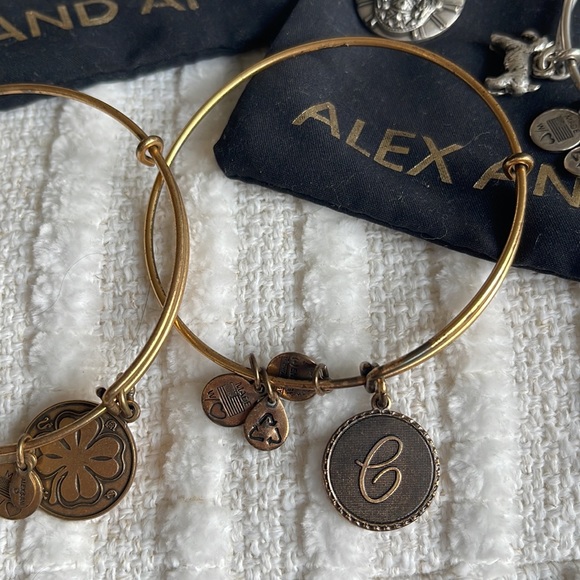 ALEX AND ANI Silver & Gold Bangle Bundle - Picture 3 of 5